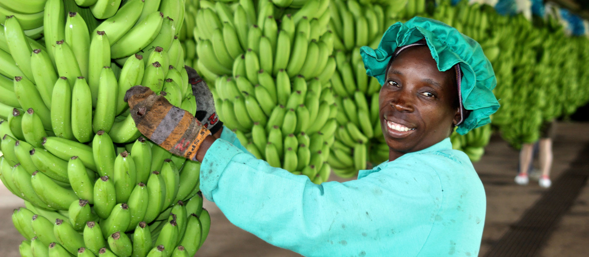 Bananas