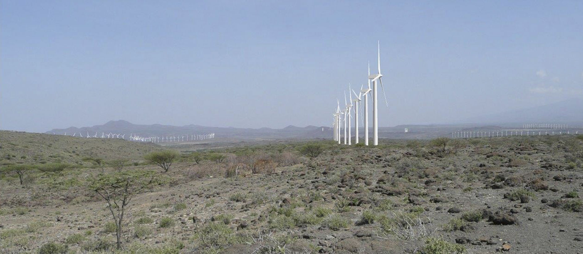Lake Turkana windmills